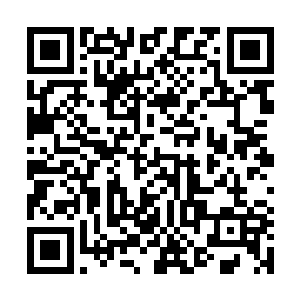 就不用色`眯`眯的眼神一直盯着自己的咪`咪扫来扫去了二维码生成