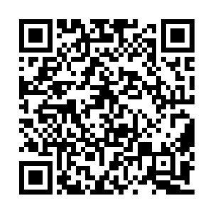 就从一个后天境界的程度达到了现在的神通顶峰二维码生成