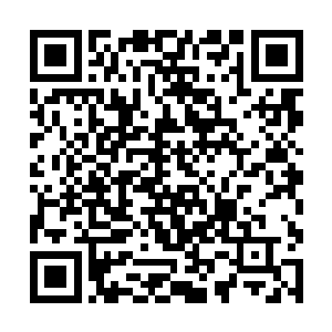 就令他心疼得想哭――我的损失已经超过五百灵晶了二维码生成