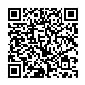 就以叶楚的天眼来在也无法一下子就也需要一些时间才能破解二维码生成