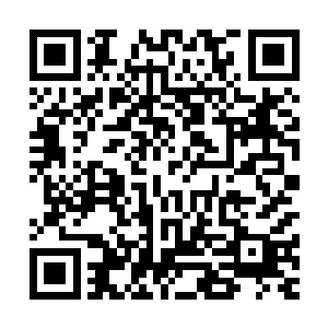 就仿佛是一只被浸泡在滚水里面被褪掉了毛似的肉鸡那样奇特二维码生成