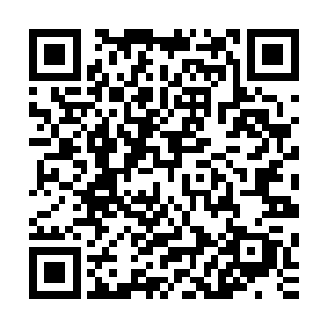 就仿佛蜈蚣的身体忽然套上了一层和它外壳一样颜色的护甲来二维码生成