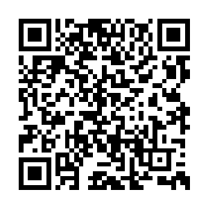 就仿佛进来那一百人里面没有宋辰砂这样一个人二维码生成