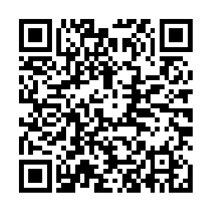 就会成为起点第一个每天不更新却发单章求月票的家伙二维码生成