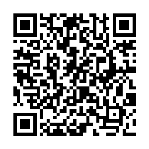 就传遍京都的蠢货还能有她们这些从小就修炼的厉害二维码生成