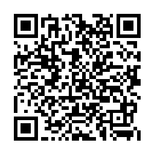 就住在隔壁房间的谢文东和褚博等人皆醒了过来二维码生成