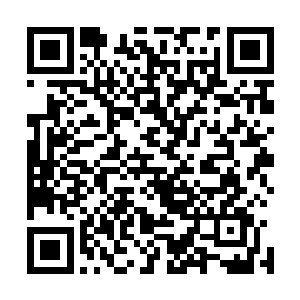 就体现出了星空巨兽这种实力强横的古老种族传承的厉害的二维码生成