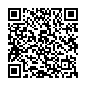 就你们也想挑战我主人的权威真是太不自量力了二维码生成