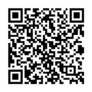 就像一个被欺负的孩子看到自己的长辈来了一般二维码生成