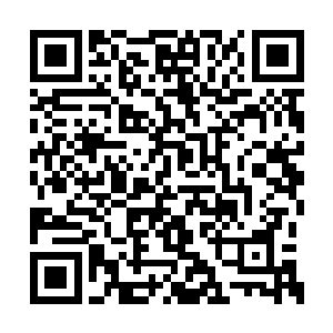 就像你上次在福州港的那个西伯小妞的身上一眼二维码生成