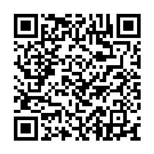 就像六道也不肯将外面势力的底细全盘托出一样二维码生成