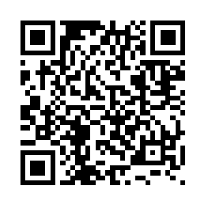 就像刚才的追溯过去只是一场梦境二维码生成