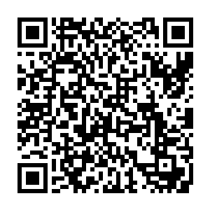 就像地面上的蛇类有时候会从阴暗的地方钻出来晒太阳为自己提供一些热量一样二维码生成