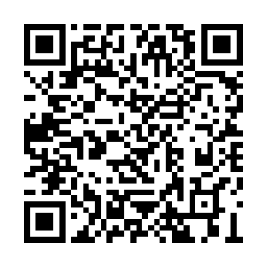 就像墨尘现在竟然能够在什么都不考虑的情况下二维码生成