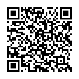 就像当初巫果出生需要他们两个父亲都在场一样二维码生成