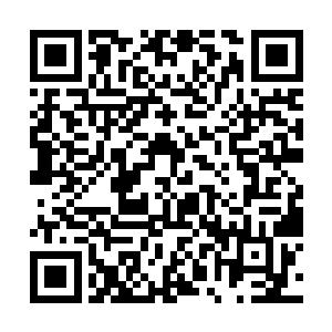 就像当时一位鼻子红红的评委激动之下所呐喊的那样二维码生成