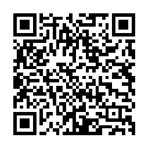 就像数个小时前大家看到的领域之中那两条恐怖巨蛇的光影一样二维码生成