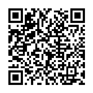 就像是……管家对少主的那种……宠溺中带着尊敬二维码生成