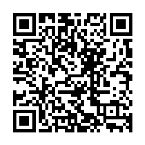 就像是一只一身肥膘的猪与一头浑身布满劲壮肌肉的公牛的区别二维码生成