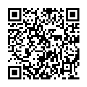 就像是刚才猛虎特战队的战术就打破了那种僵局二维码生成