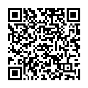 就像是吃惯了山珍海味的人尝一尝山野的小菜一样二维码生成