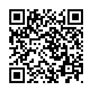 就像是在里面慢慢孕育……羽化成蝶二维码生成