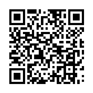 就像是把一个完整的大脑剖成了两半二维码生成