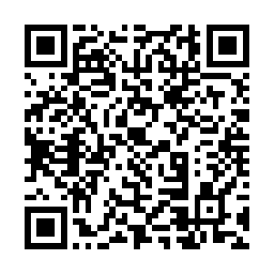 就像是把最美味的糖果与好友分享一般既痛快又不舍二维码生成