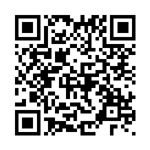 就像是猛虎狩猎时候的第一下扑击二维码生成