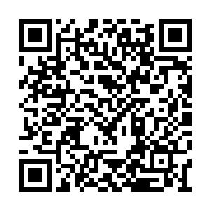 就像是璀璨的珍珠般环绕在洪潮和抵抗者们周围二维码生成