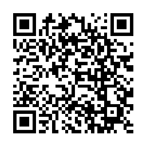 就像是看到了一种叫希望在心中慢慢滋生成长了起来二维码生成