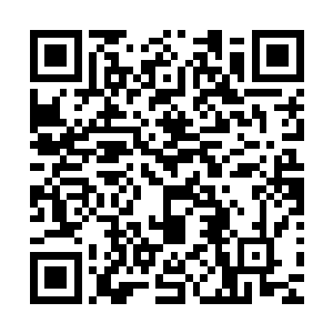 就像是草原上最强壮的雄狮在看着一头正向着自己挑衅的鬣狗二维码生成