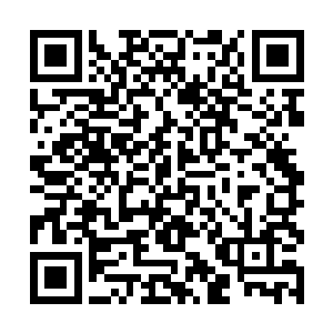 就像这柄长剑随时可以落在苏林身上的任何一个部位二维码生成