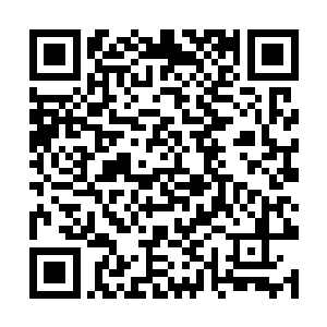 就像那些刚刚获得了摩托车作为礼物的小屁孩儿一样二维码生成