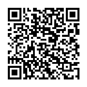 就几尊药鼎当中就属你挑选的黑云纹鼎最为珍贵了二维码生成