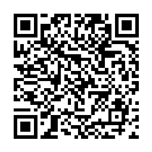 就凭他们这几个三脚猫功夫的人能打的过天涯阁阁主二维码生成