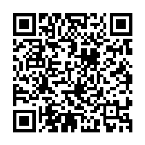 就凭你们手上的那些仙果怕是也无法帮你们一步登天力压六圣二维码生成
