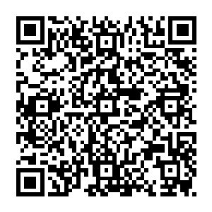 就凭现在的案件他们把黑恶势力的部分全都推到已经死在交通事故中的沈老二身上二维码生成