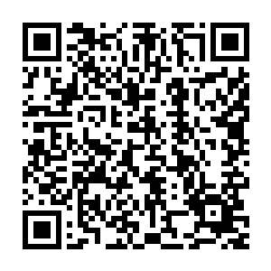 就出现了两个玉杯和一个盘绕着两条蛇形图案的精美酒坛一样的器皿二维码生成