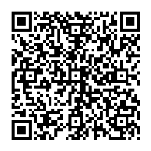 就发现以往很多成天睡大觉的孩子被大人拎出来帮着搬石头干活或者跟着一起捕鱼二维码生成