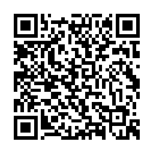 就发现鬼道的能量一瞬间就消失在了对方的身上二维码生成