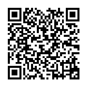 就只剩下了左都御史戴珊和左佥都御史曾毅两人了二维码生成