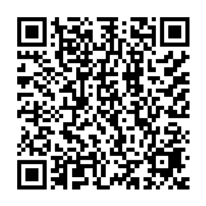 就只剩下怀疑对方到底是偶然还是有意为之真的枪法神奇到这种地步二维码生成