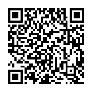 就只有那盏粉红色的水晶萤石灯在散发着暧昧温暖的光线二维码生成