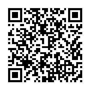 就只能被这些临时栅栏挡住停车看发生了什么事二维码生成