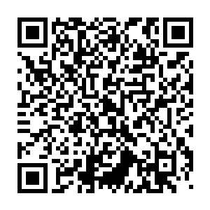 就可以源源不绝的把它们从各个次大陆拉到太夏来――这是太夏各个豪二维码生成