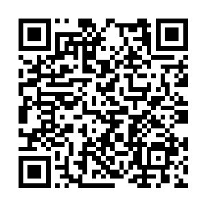 就可以趁七莲家族此际对叶家无限失望的微妙时刻二维码生成