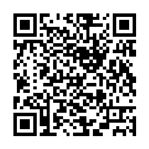 就可能培养一名练气七层圆满的修士踏入练气八层二维码生成