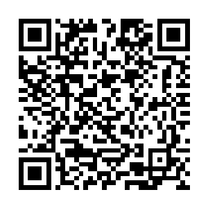 就听见车厢外顶部仿佛有什么东西在飞快的爬行而过二维码生成