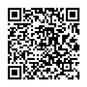 就因为早上她没能用那只最漂亮的琉璃大碗来盛粥二维码生成